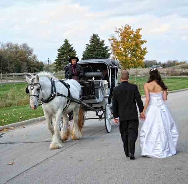 The Wedding Carriage